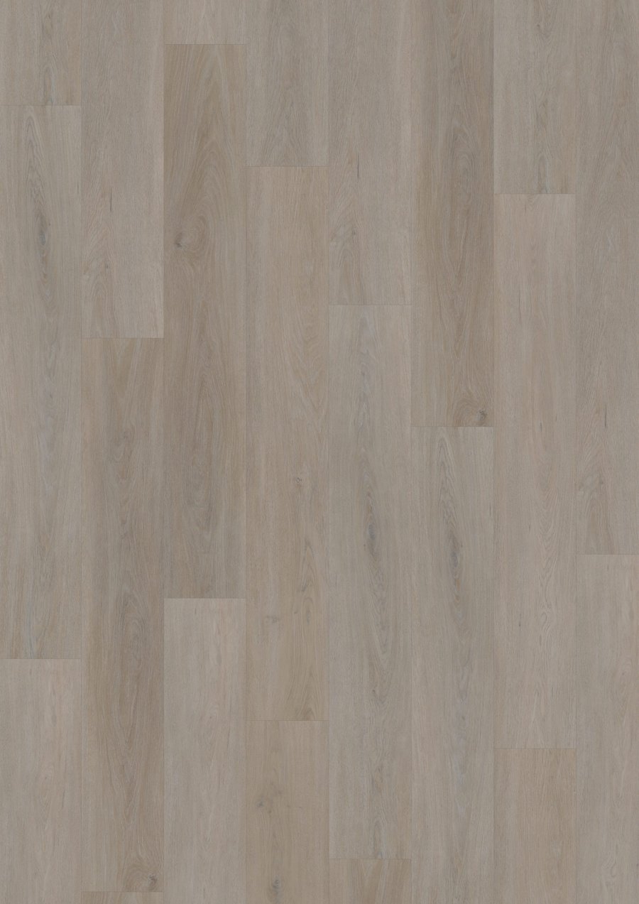 Solide Click 55 English Oak Greige