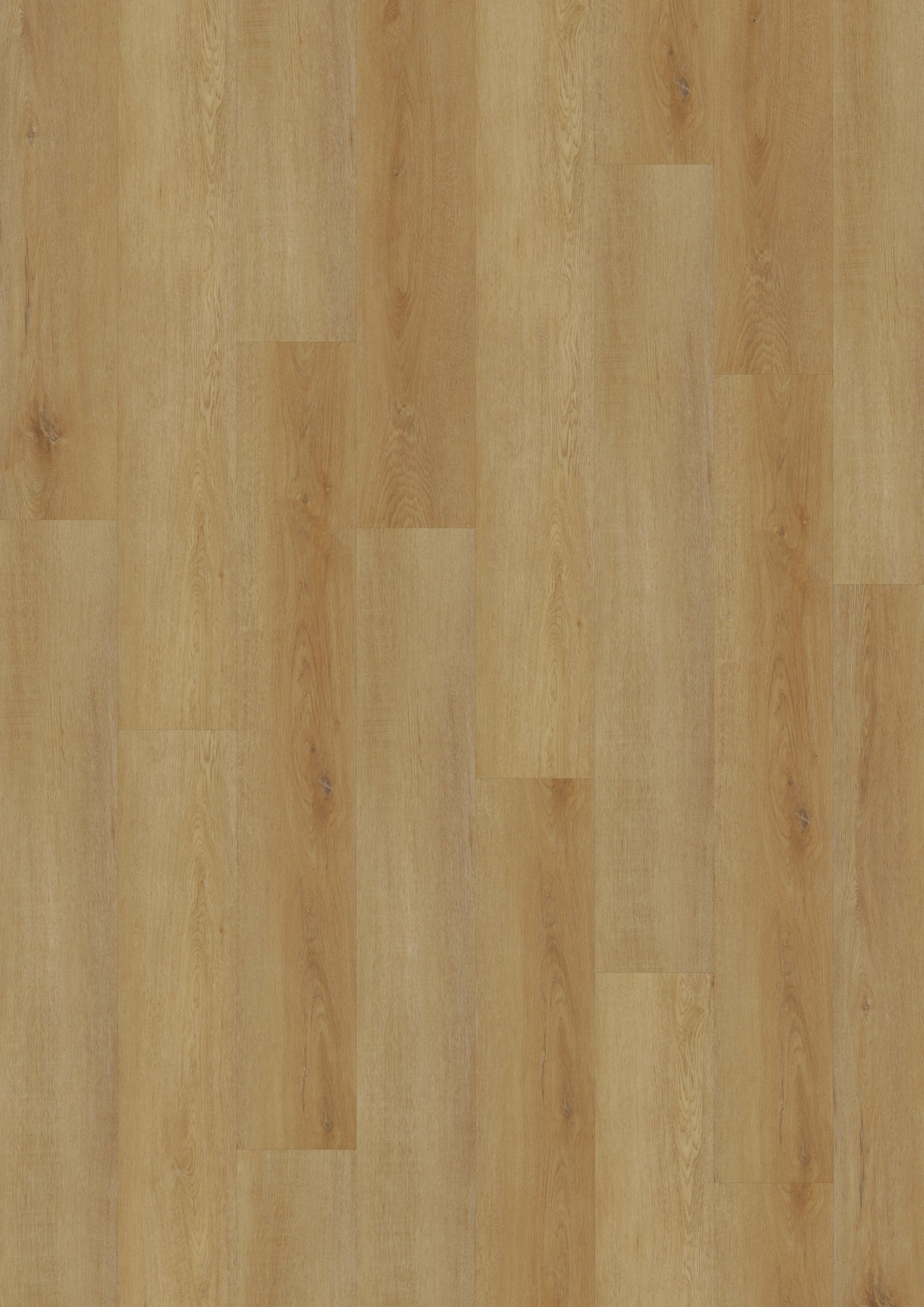Mercury 2.0 Rigid Delicate Oak Amber