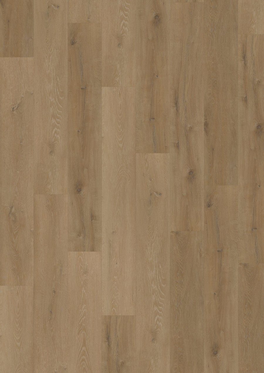 Solide Click 55 Prestige Oak Light Amber