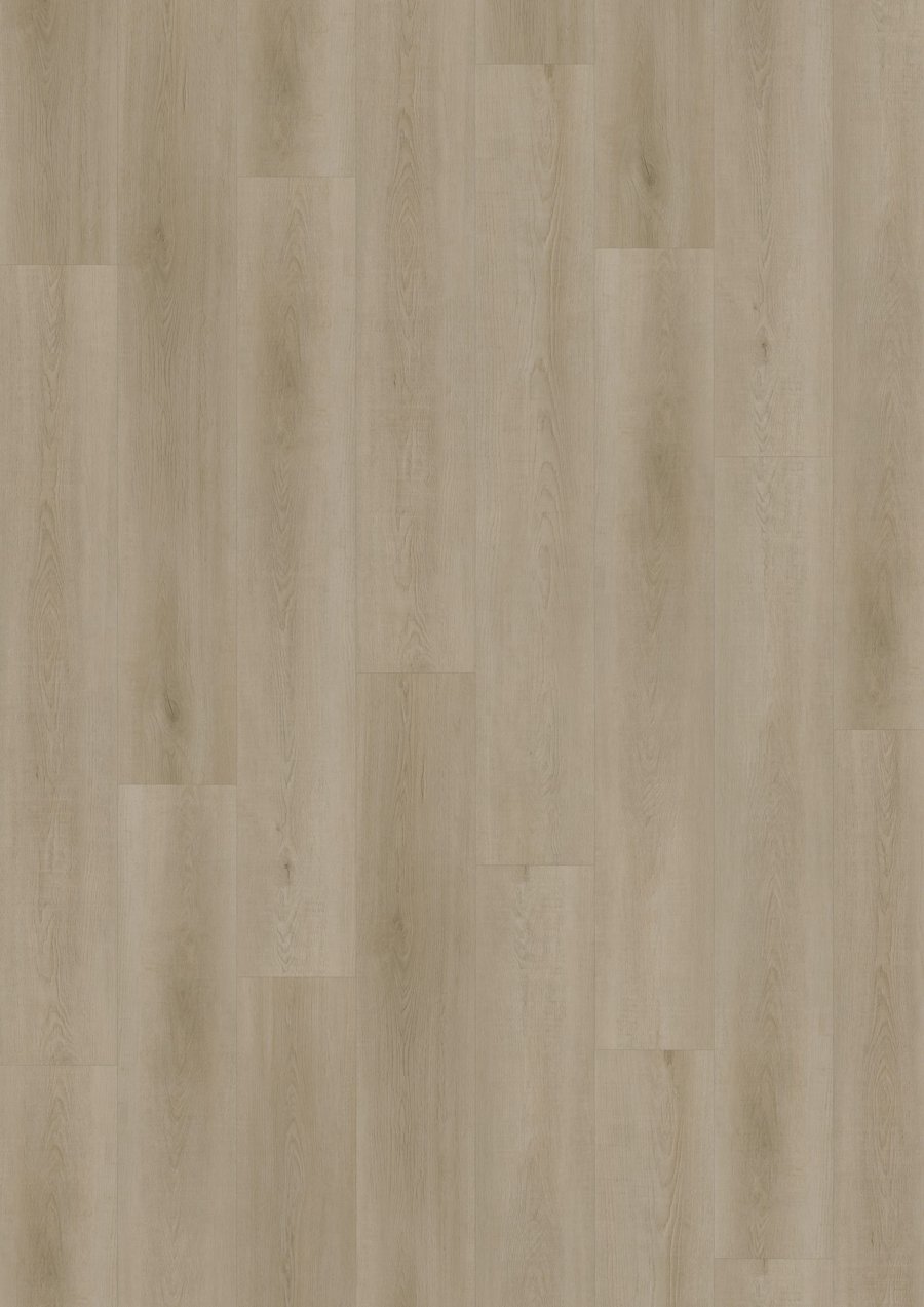 Solide Click 55 Raw Oak Light Natural