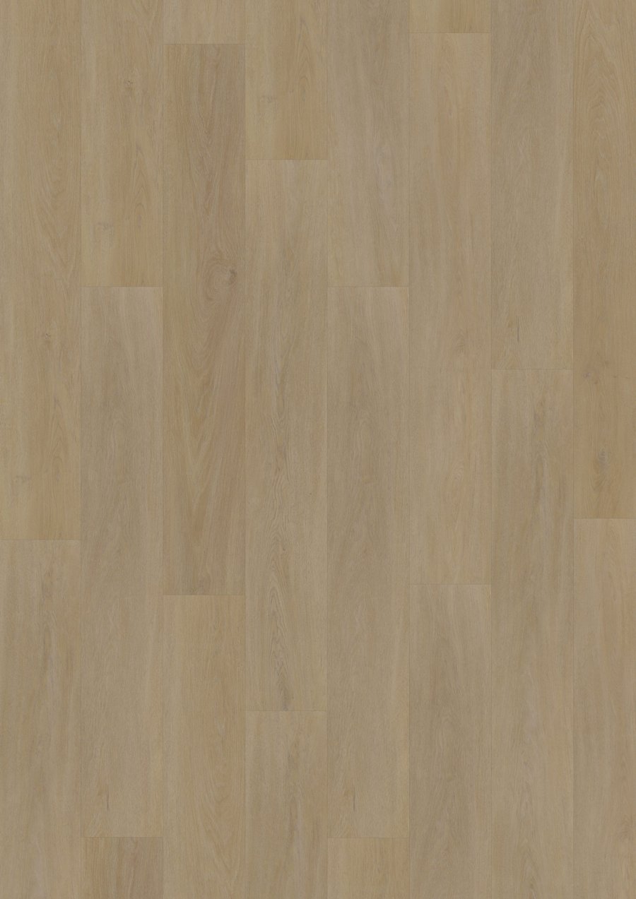 Solide Click 55 English Oak Natural