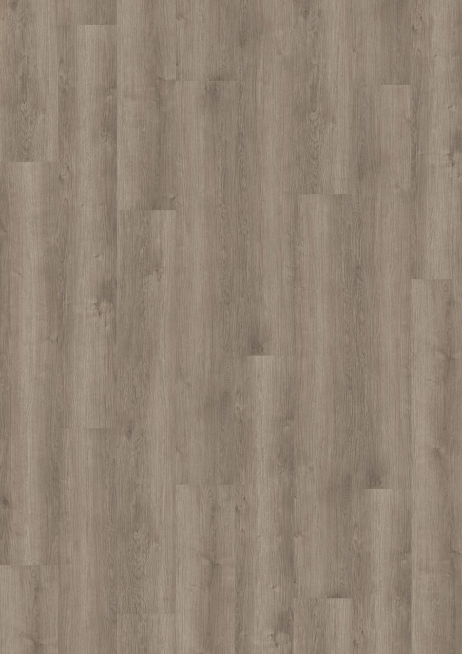 Solide Click 30 Noble Oak Greige
