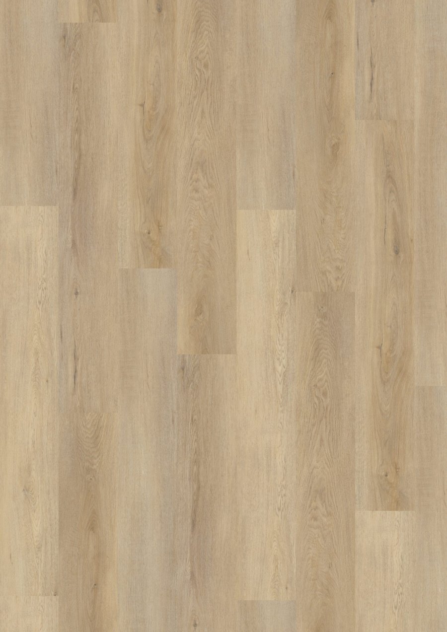 Solide Click 30 Fine Oak Natural