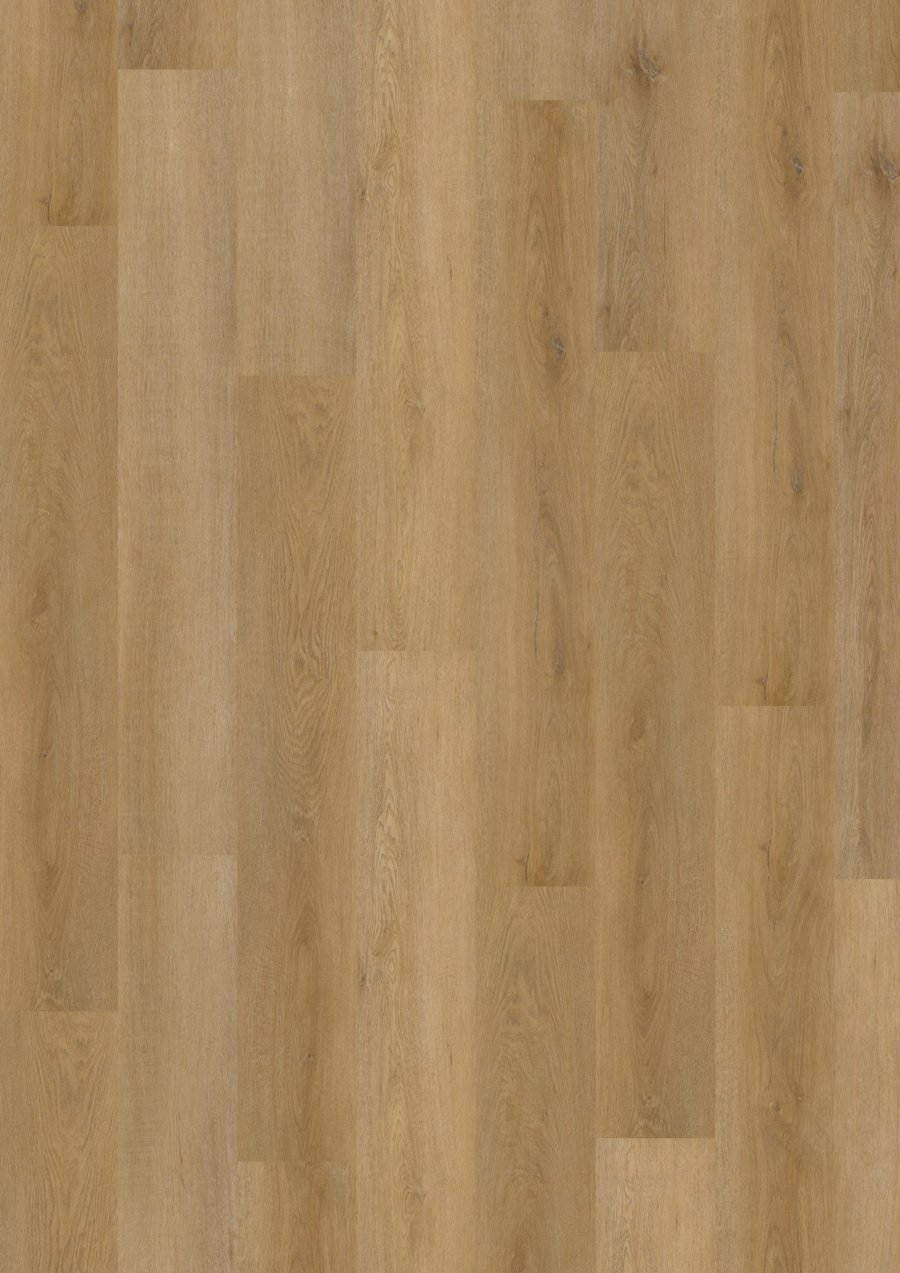 Solide Click 30 Fine Oak Amber