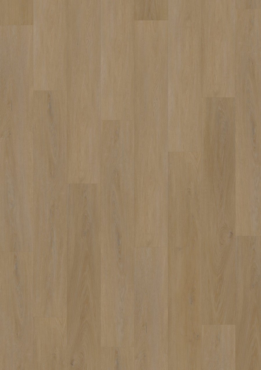 Solide Click 55 English Oak Honey
