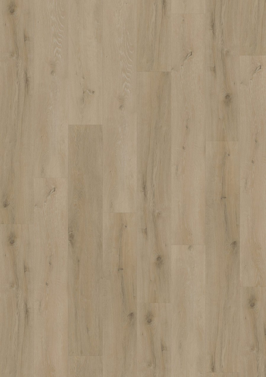 Solide Click 55 Prestige Oak Light Natural