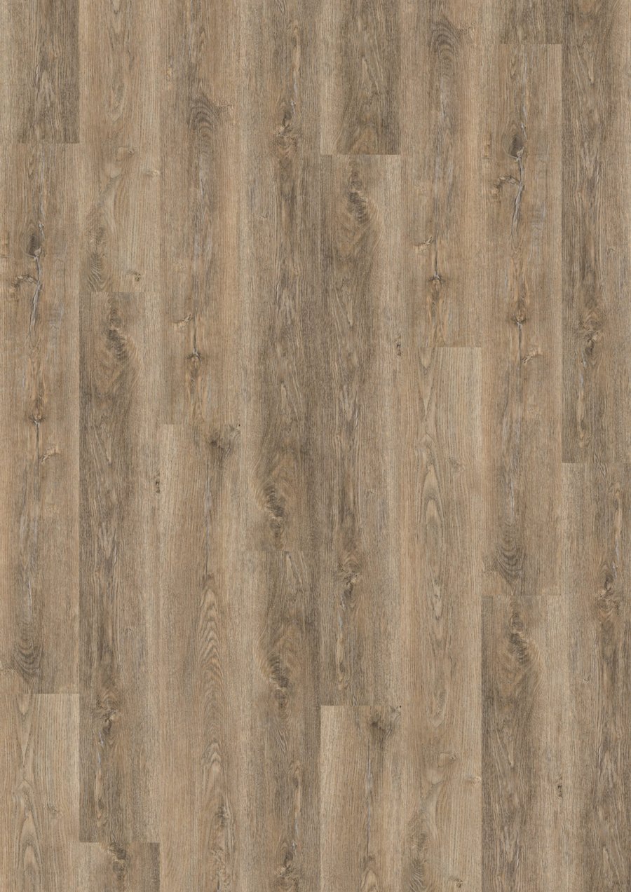 Solide Click 30 Authentic Oak Natural