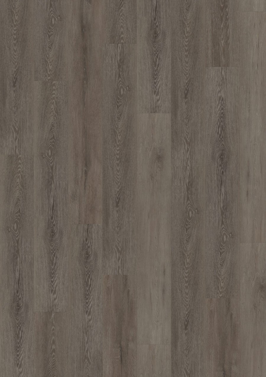 Solide Click 55 Cerused Oak Dark Brown